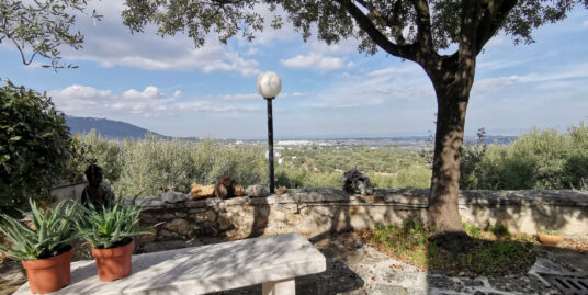 903 – Villa – C.da Giardinelli – Fasano