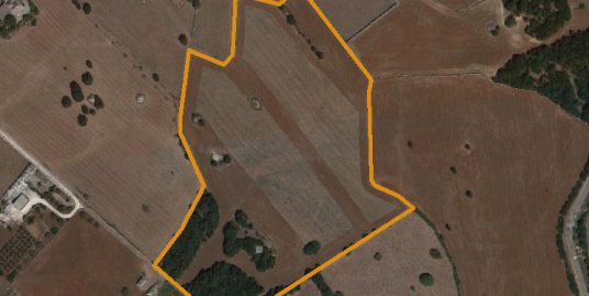 704 – Terreno in C.da Carpari – Martina Franca