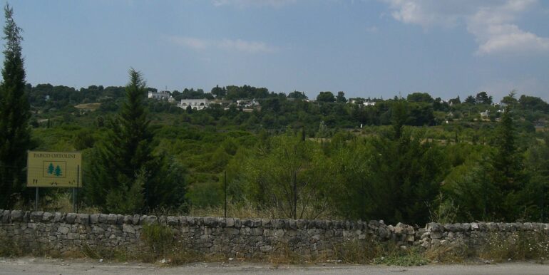 CIMG3744