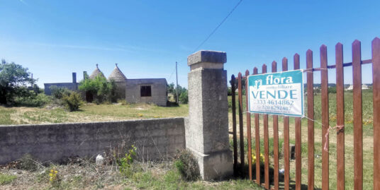 802 – Trulli e Lamie – via Noci – Martina Franca